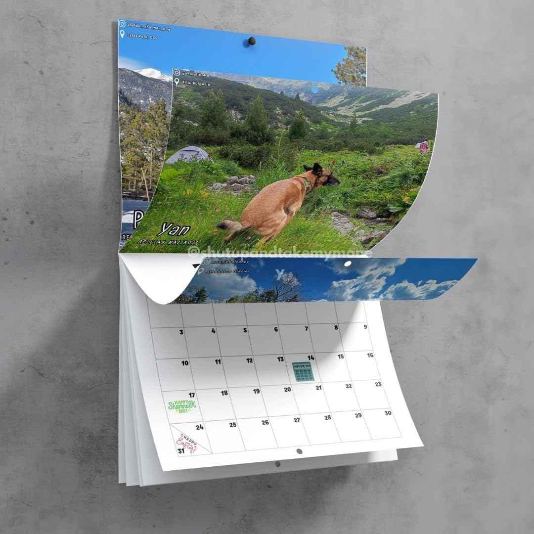 Dogs Pooping In Beautiful Places 2026 Calendar
