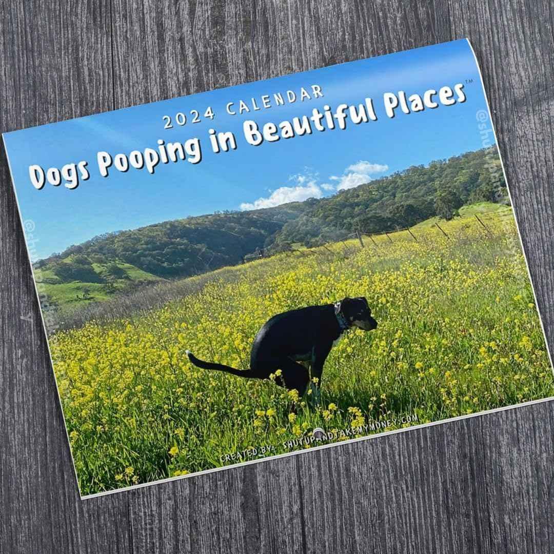 Dogs Pooping In Beautiful Places 2026 Calendar