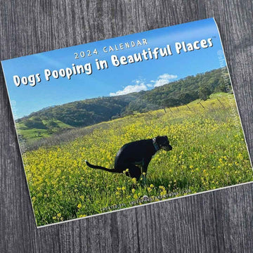 Dogs Pooping In Beautiful Places 2026 Calendar