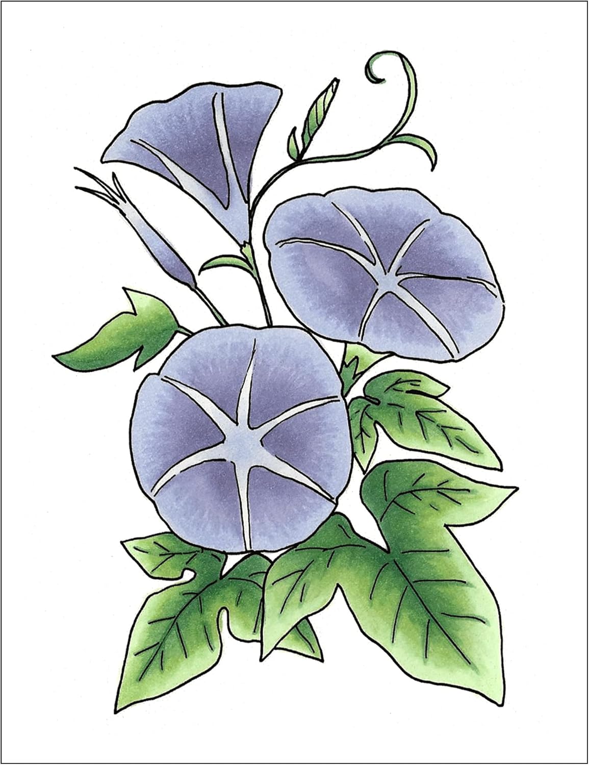 Copic Sketch,Alcohol-based Markers,3pc Set,Color Fusion #1
