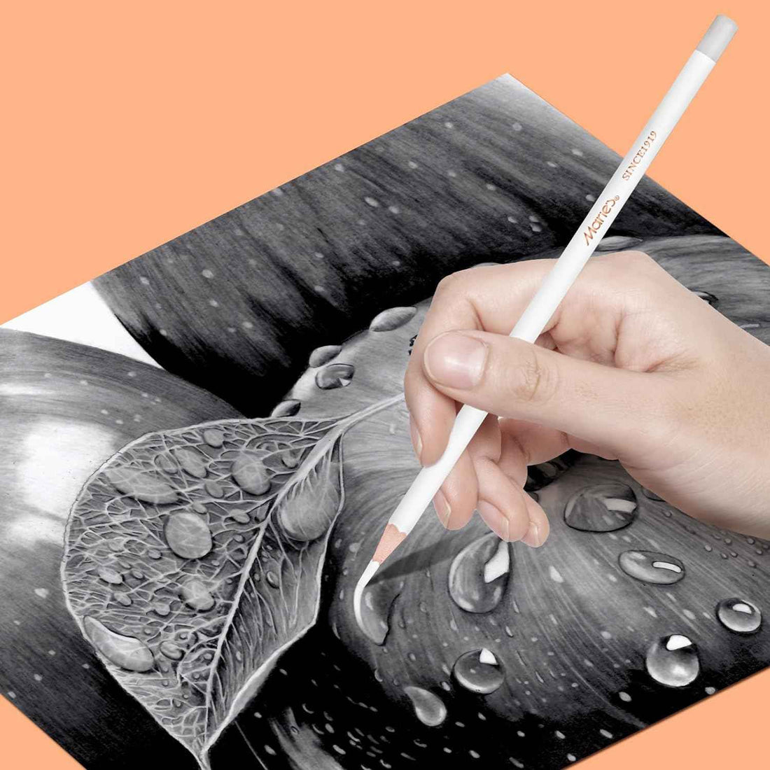 Marie’s Professional Eraser Drawing Pencil 6 Pack