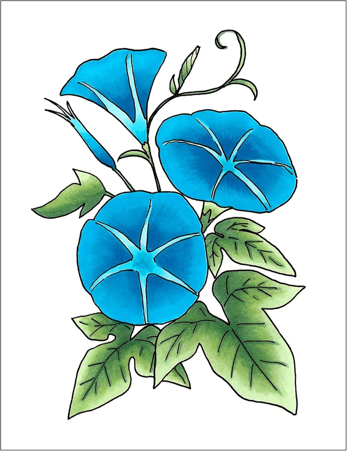 Copic Sketch,Alcohol-based Markers,3pc,Color Fusion #6,Blue