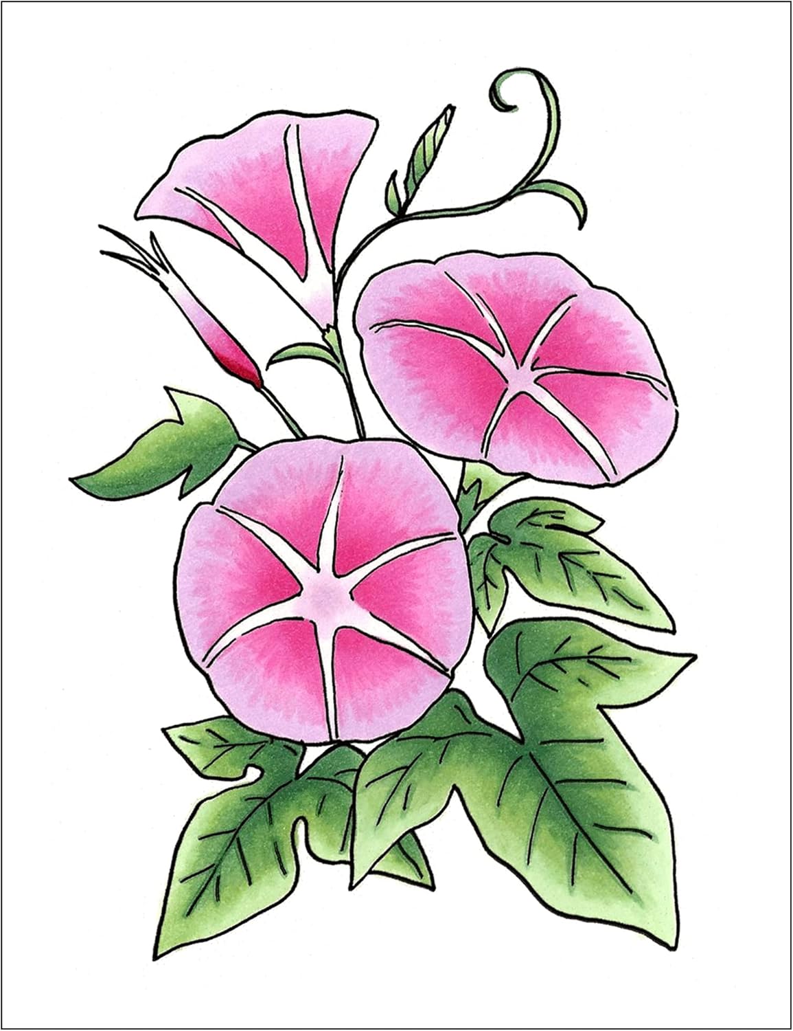 Copic Sketch,Alcohol-based Markers,3pc,Color Fusion #2,Pink