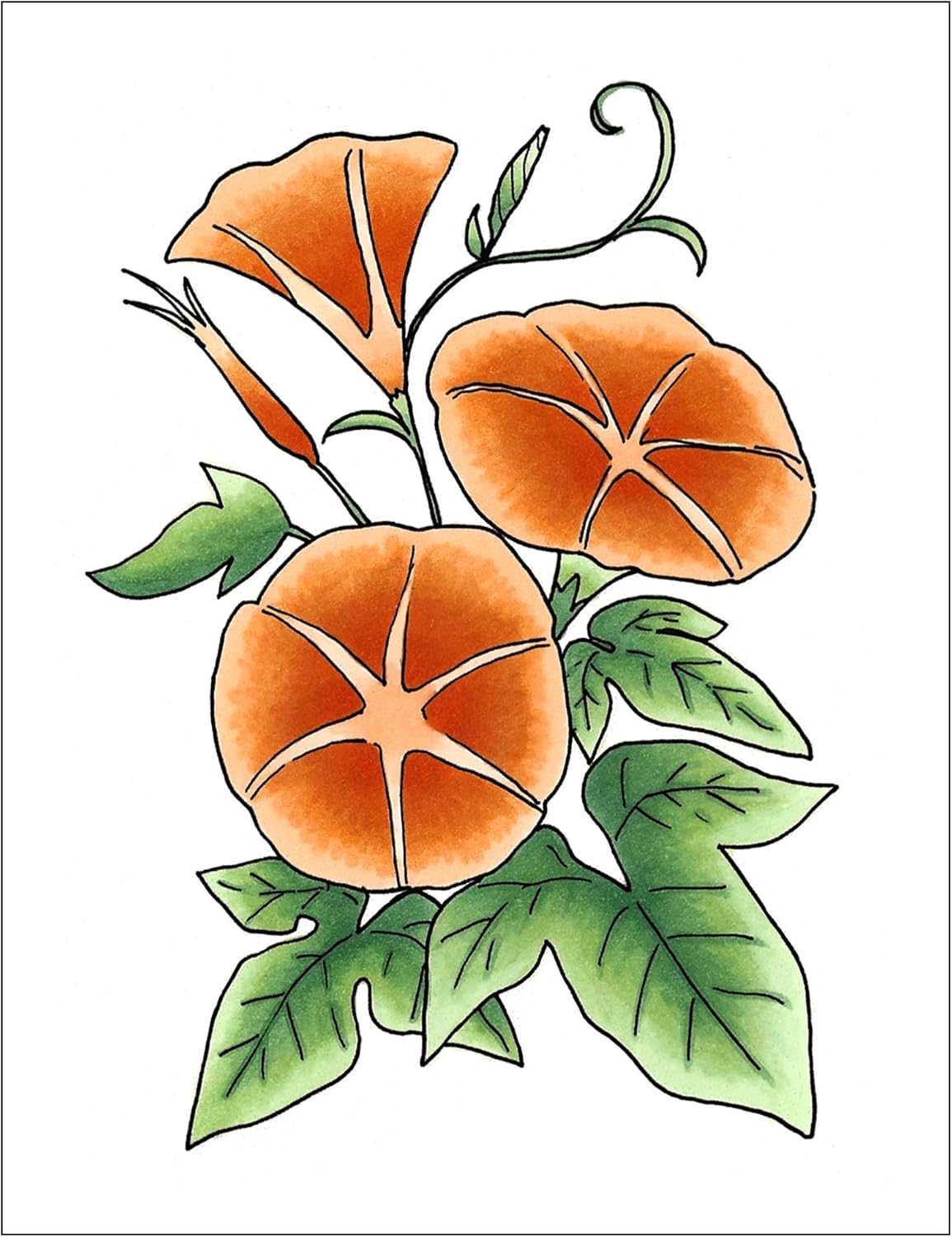 Copic Sketch,Alcohol-based Markers,3pc,Color Fusion #4,Orange