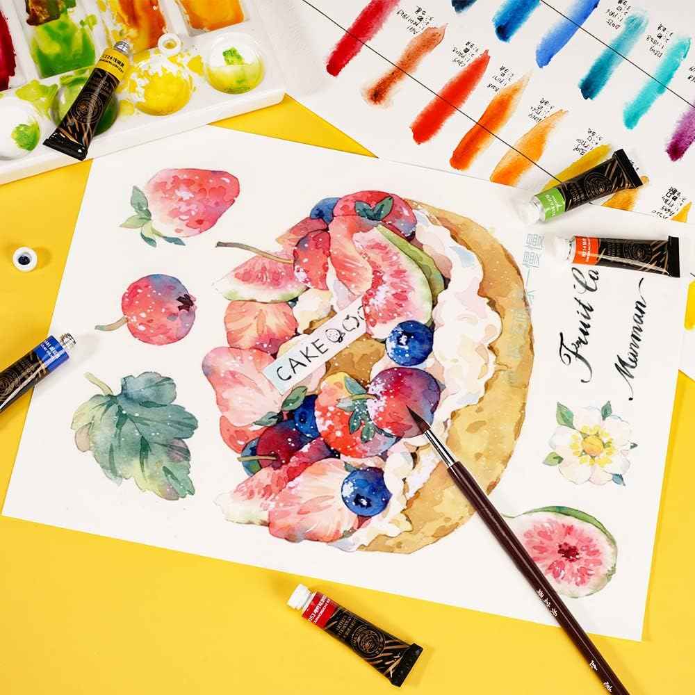 Paul Rubens Profesional Artist Watercolor Paint Set,5ml Tube,12 Colors