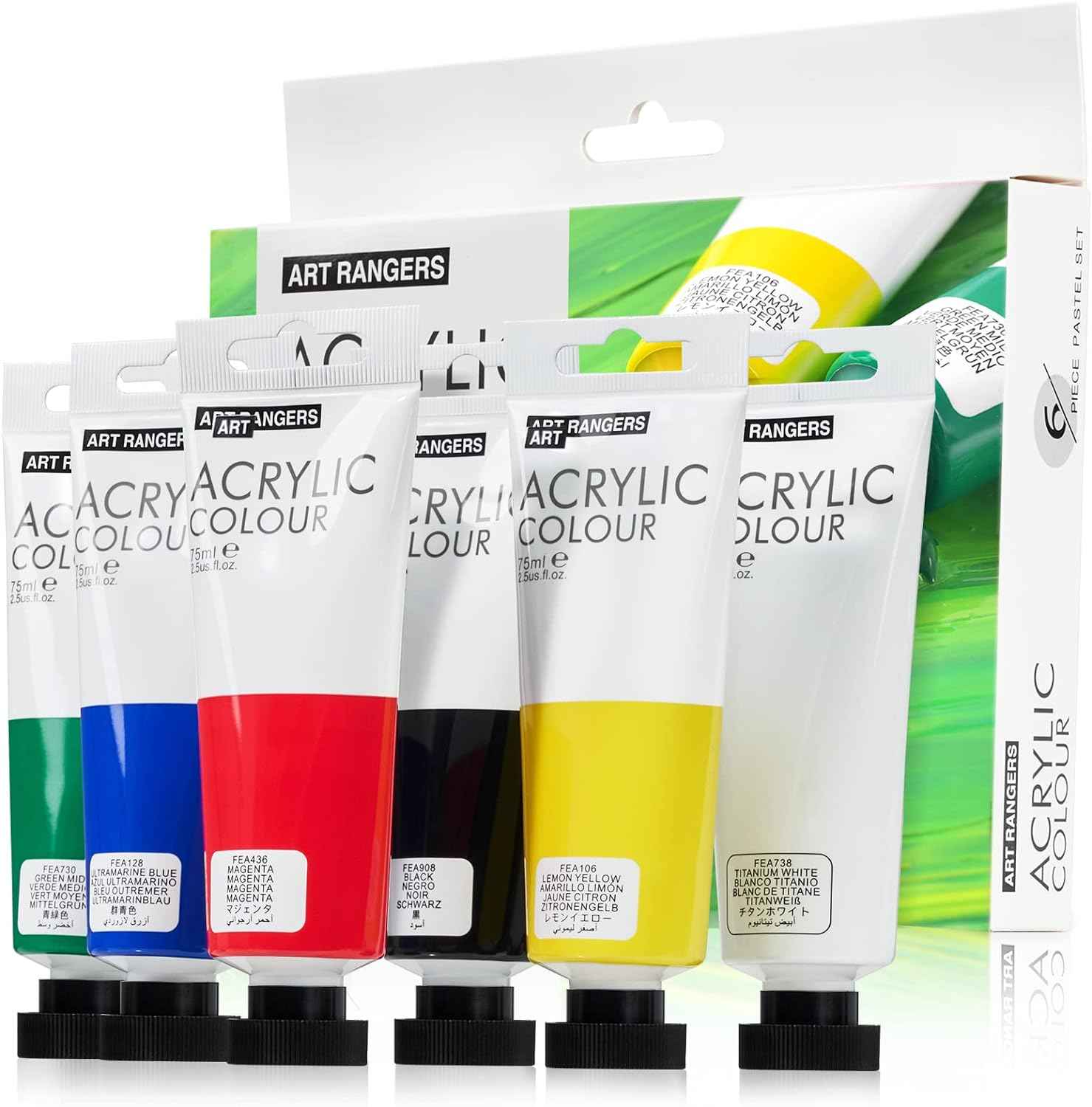 6 Acrylic Paint Art Supplies Set,75 ml Tubes,Regular Color