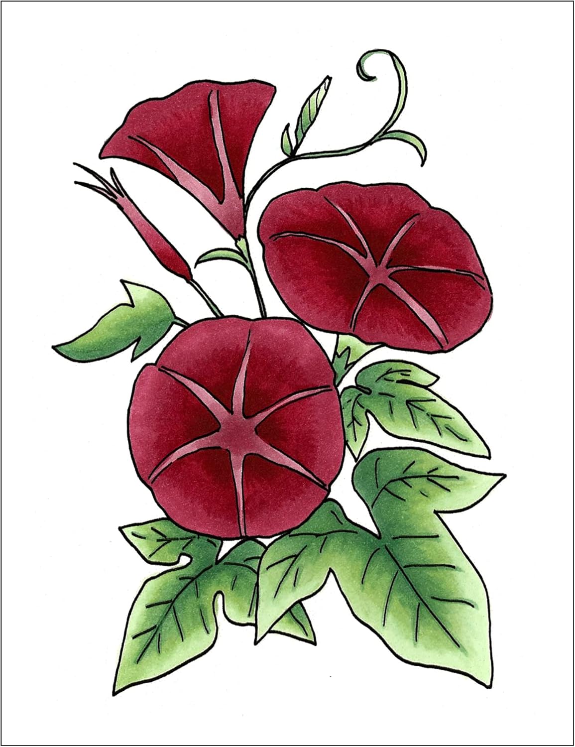 Copic Sketch,Alcohol-based Markers,3pc,Color Fusion #3,Red