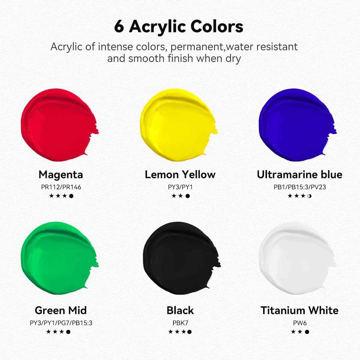 6 Acrylic Paint Art Supplies Set,75 ml Tubes,Regular Color