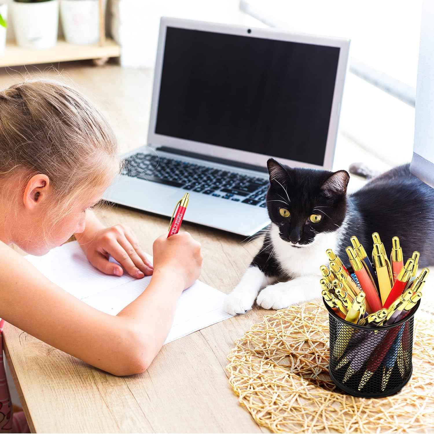 10pcs Cat Lovers Ballpoint Pen Set