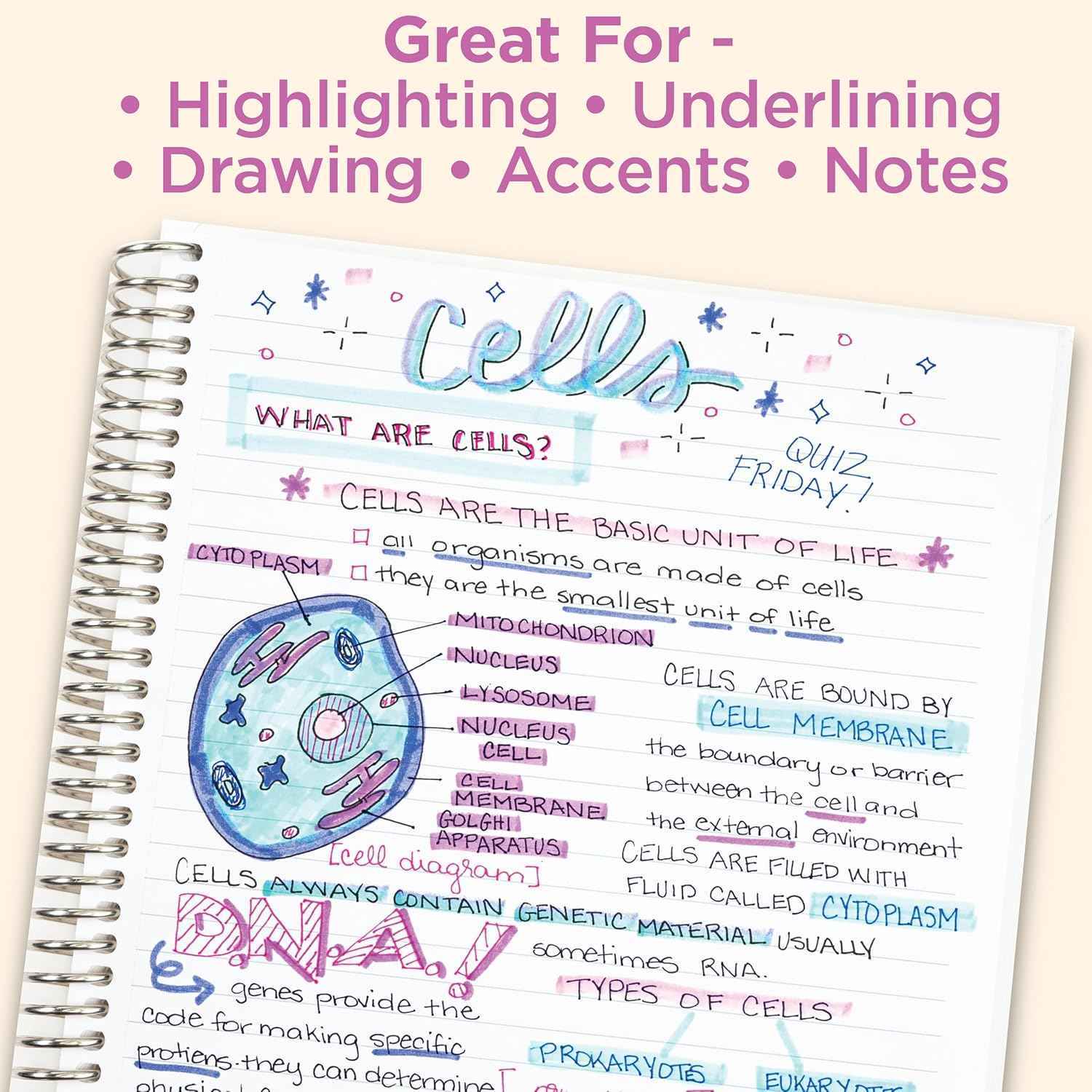 Zebra Pen Mildliner Dual-Tip Highlighter Set,5 Color Pack