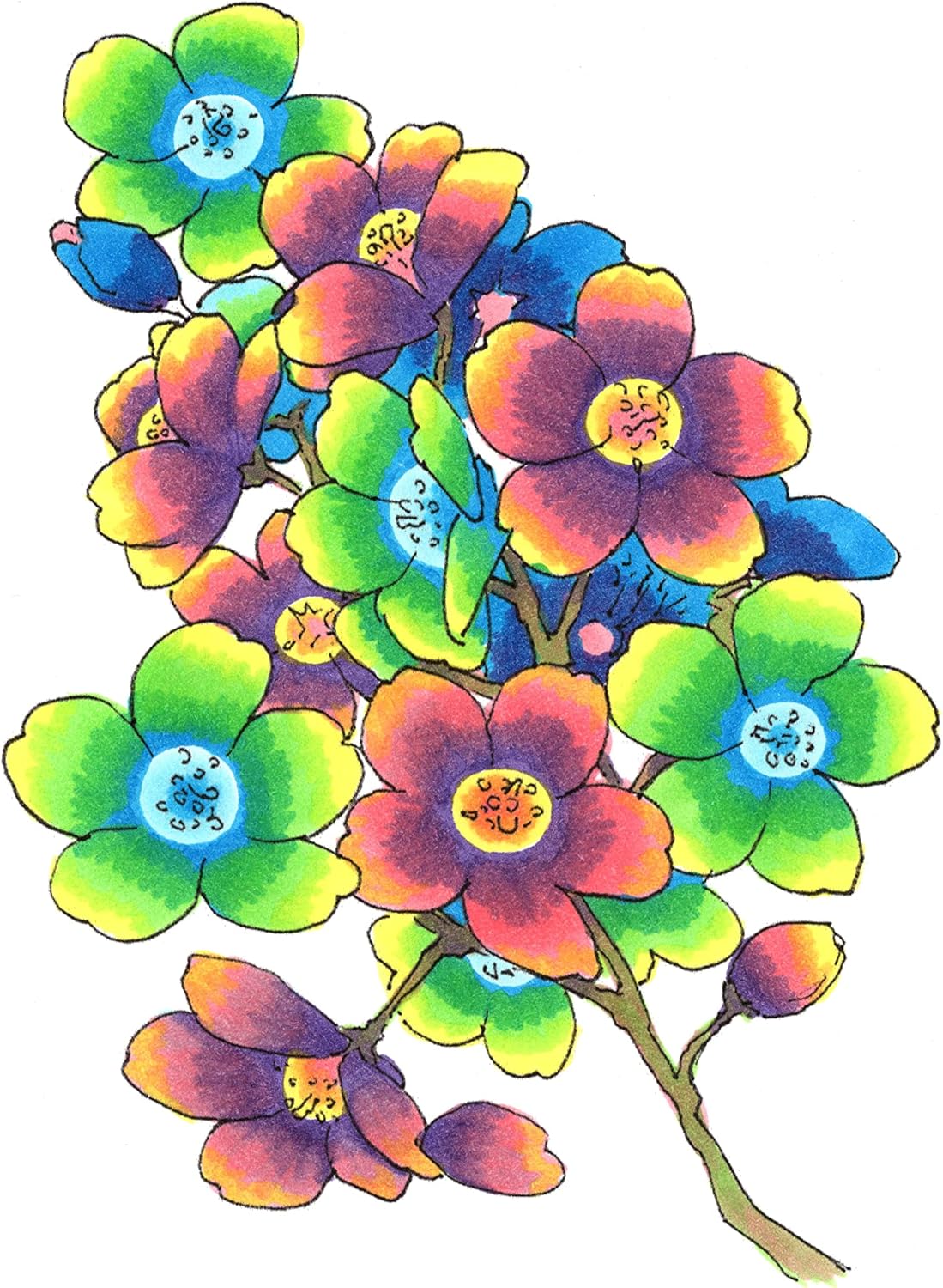 Copic Ciao,Alcohol-based Brush Markers,6 Color Brights