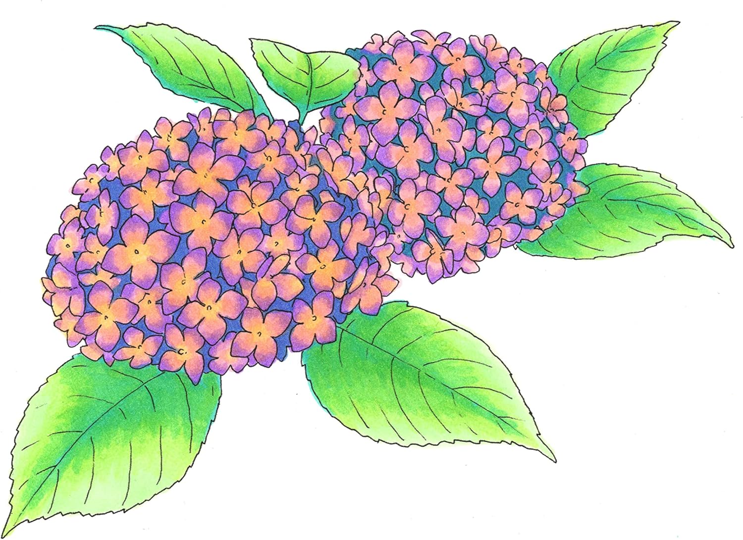 Copic Ciao,Alcohol-based Brush Markers,6 Color Pastel