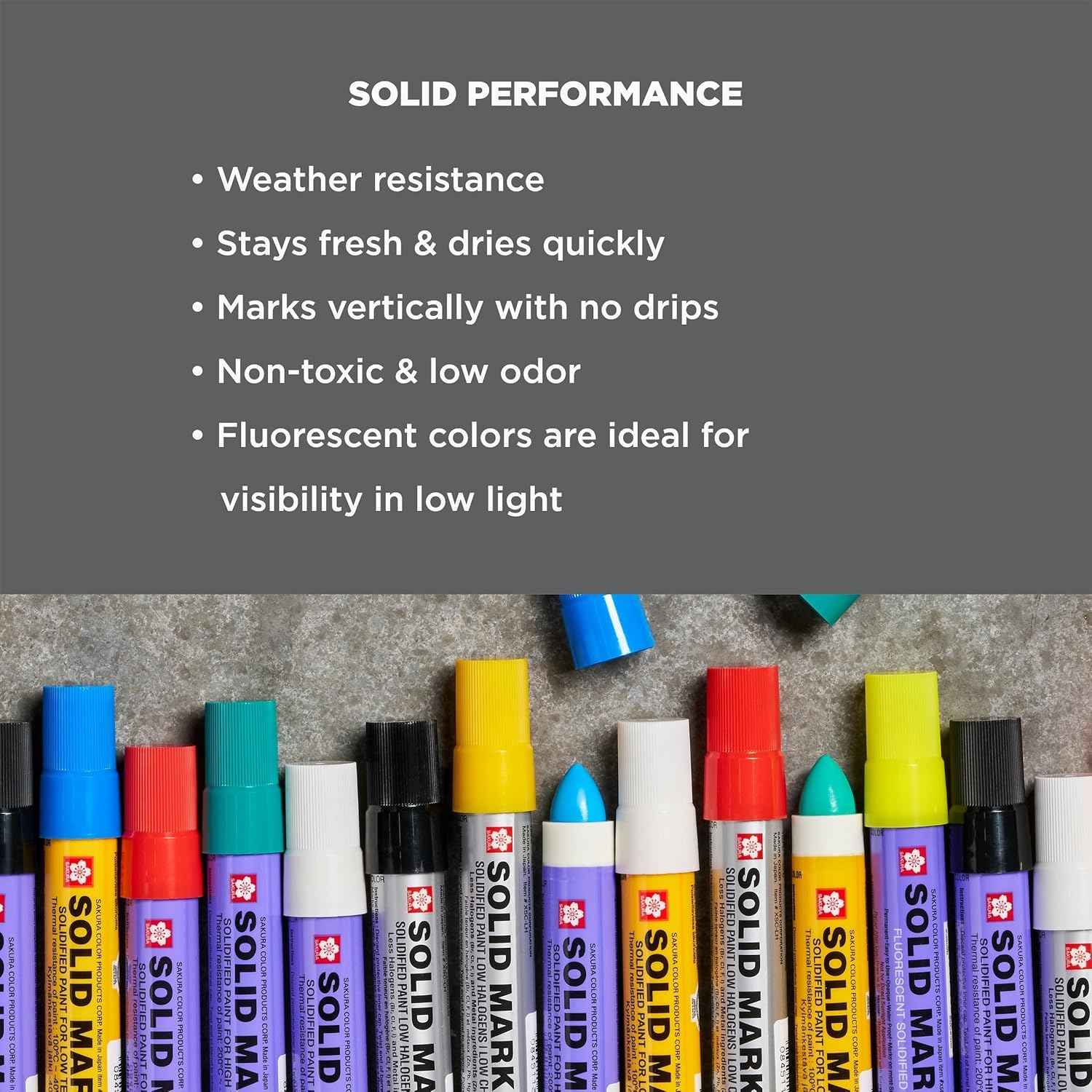 SAKURA Solid Marker,Permanent Marker Paint Pens,12 Pack