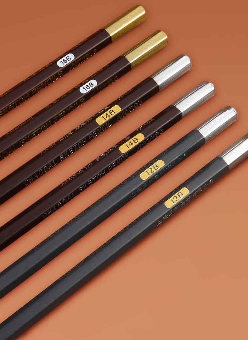Marie's 12 Pack Charcoal Pencils Pitt Graphite Matt 12B/14B/16B