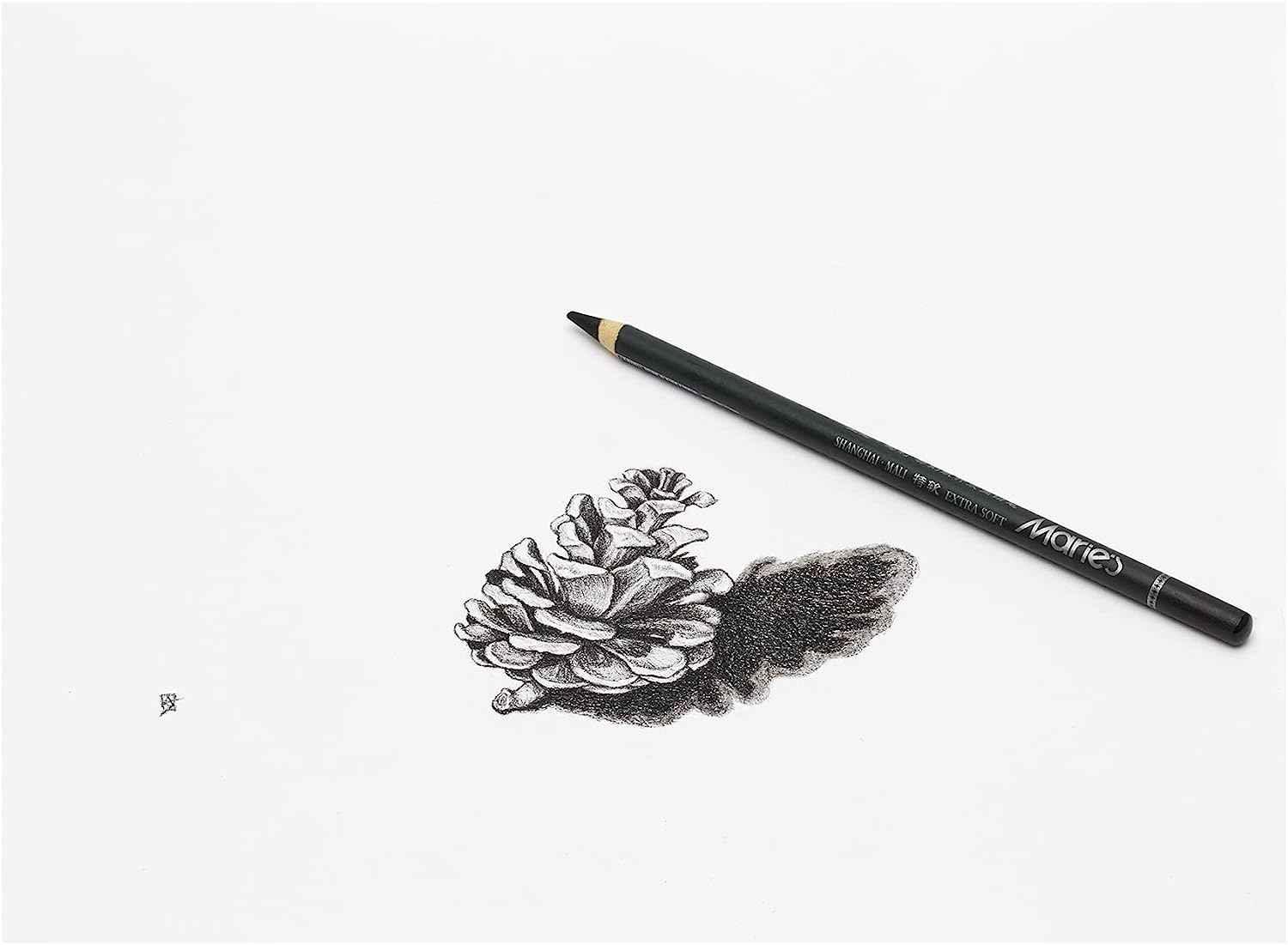Marie's 12 Artist Soft Black Paper Handle Charcoal Pencils for Drawing Sketching