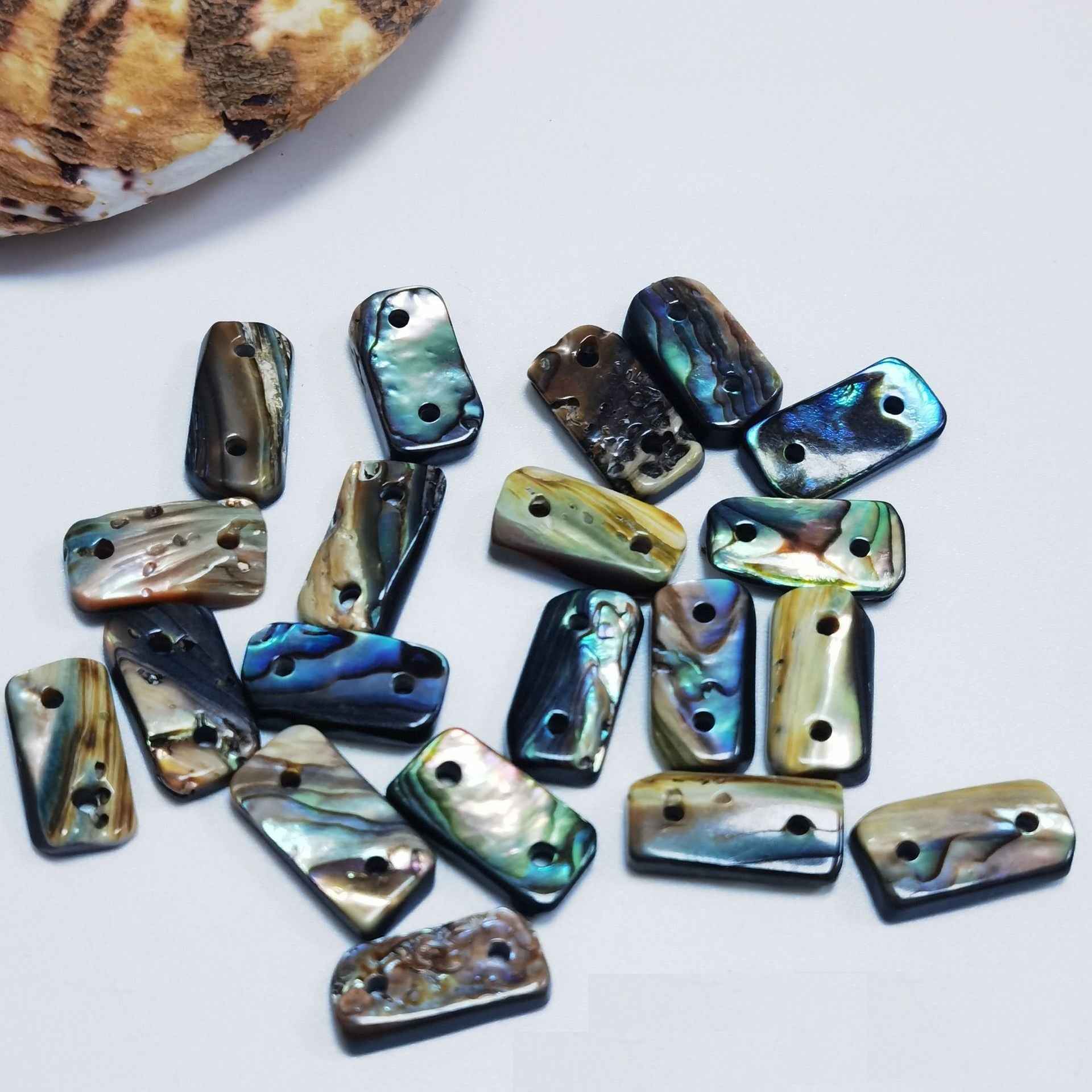 Assorted abalone shell decorative buttons with blue iridescent sheen, 2-hole rectangles