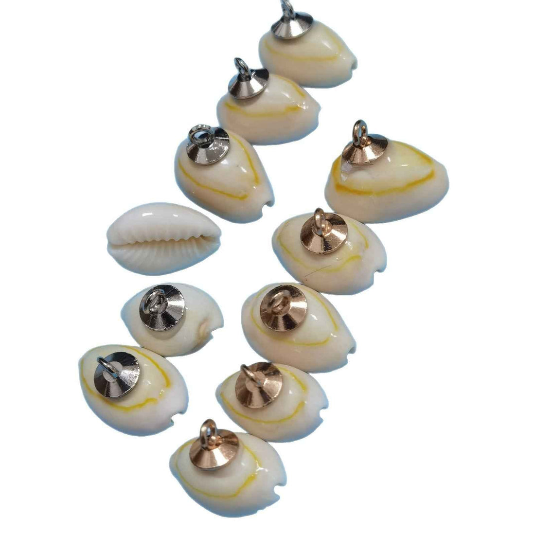 Conch shell shank buttons, spiral caps, metal loop shanks; 100 pcs