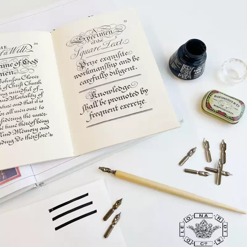 Leonardt Manuscript Dip Pen Nibs (Pack of 10 Sizes)