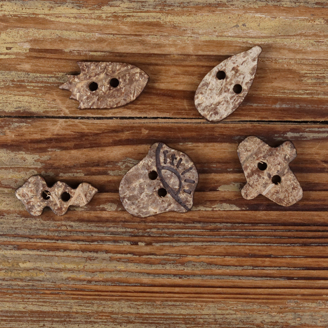Assorted coconut shell novelty buttons in five shapes, each with two holes