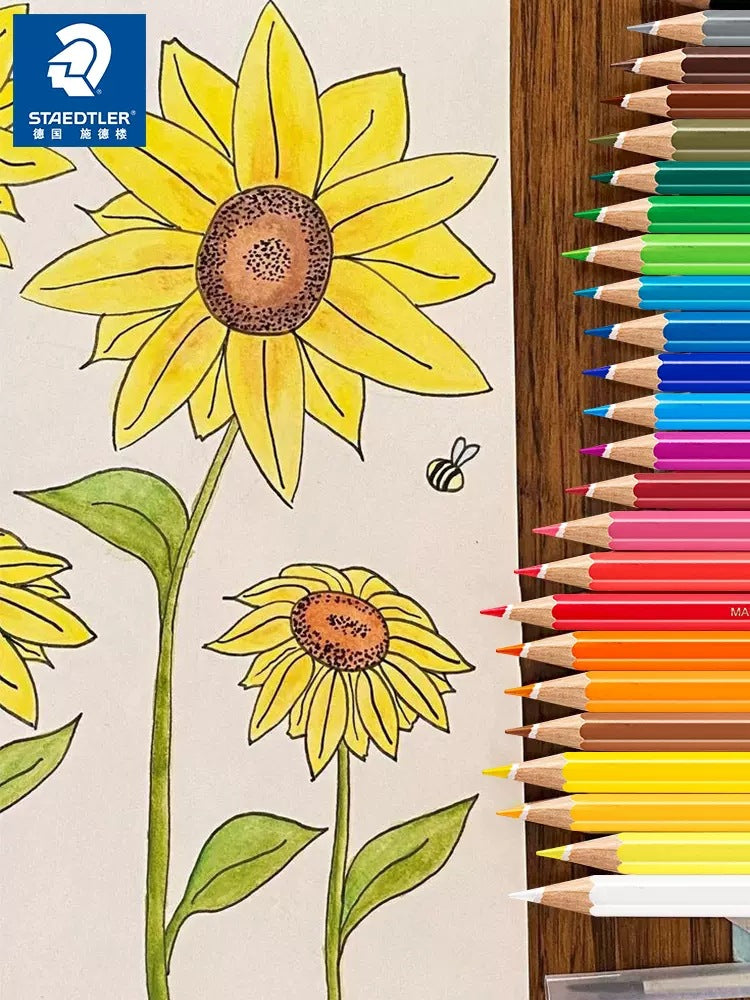 STAEDTLER 144 Noris Aquarell Watercolour Pencils,12 Colours