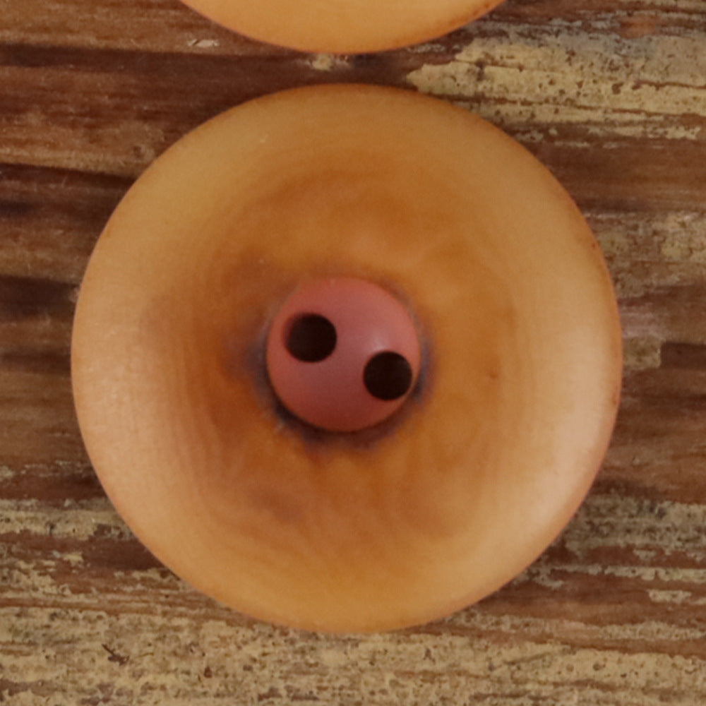 Close-up round two-hole seed button in warm brown with two dark holes