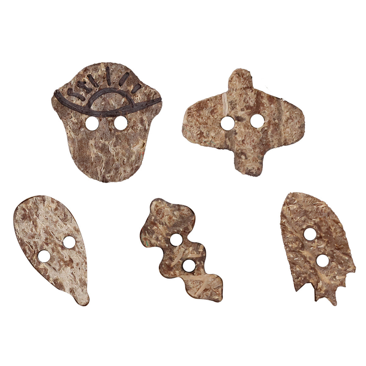 Assorted coconut shell novelty buttons in five shapes, each with two holes