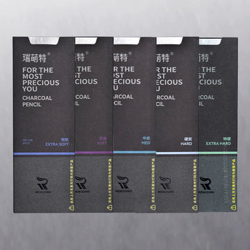 REMSONG Charcoal Pencils for Artists Drawing 8 Pieces 5 Full Pack