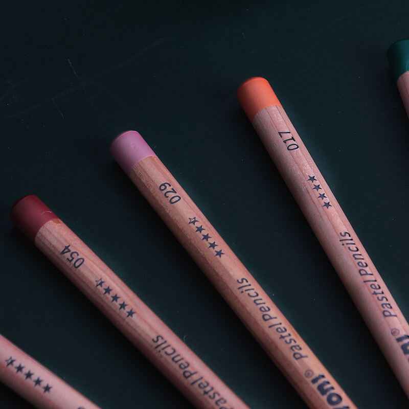 NYONI Professional 24 Pastel Chalk Colored Charcoal Pencils