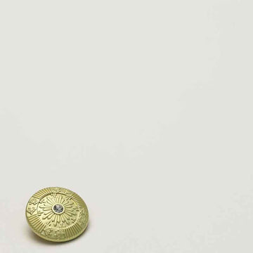 Frosted metallic sun shank button, light gold tone with crystal center, front view