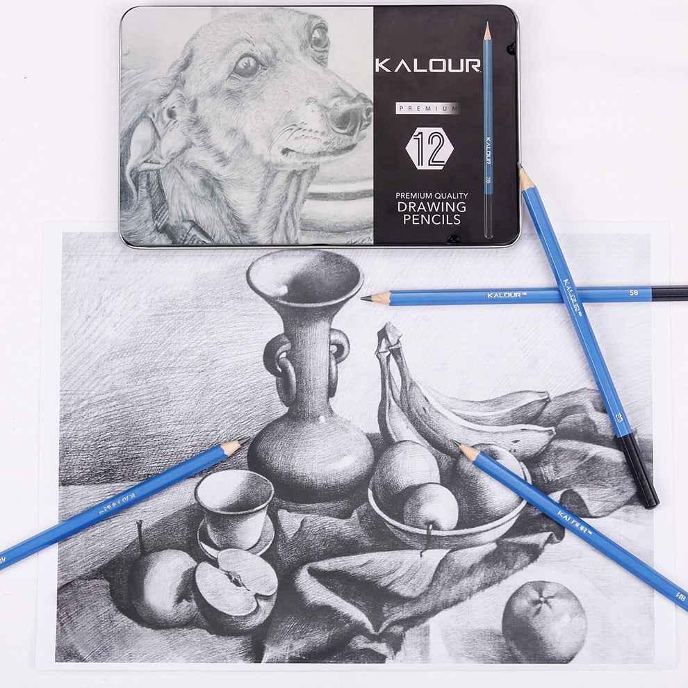 KALOUR 12 Pieces Professional Drawing Sketching Graphite Pencils Set