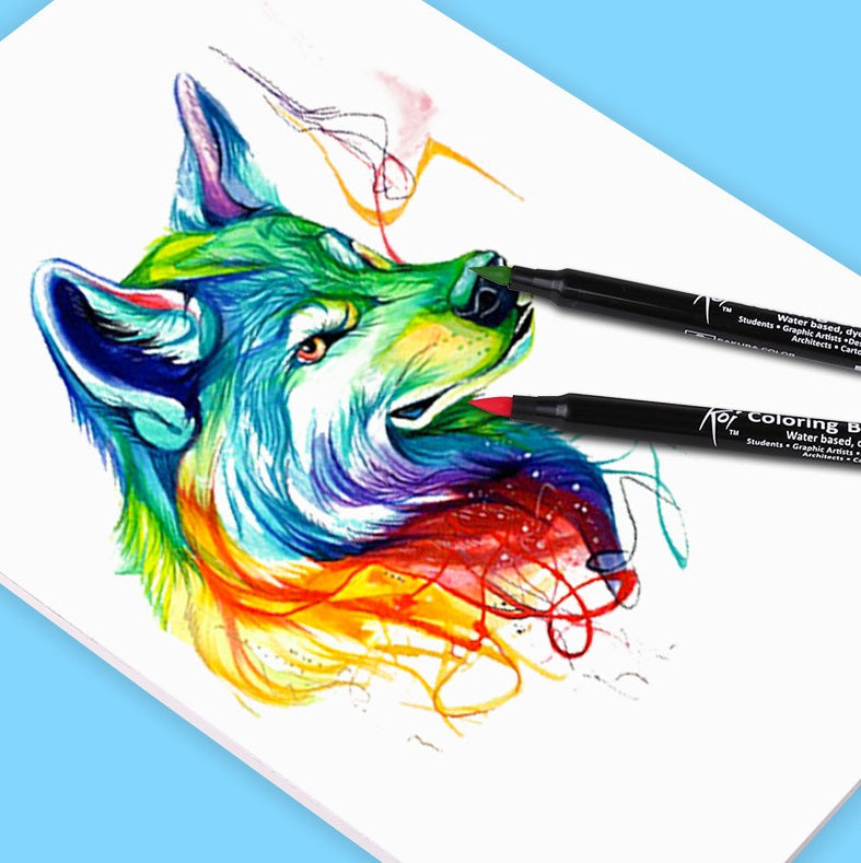 SAKURA Koi Colouring Brush Pen Set 48 Color Pens
